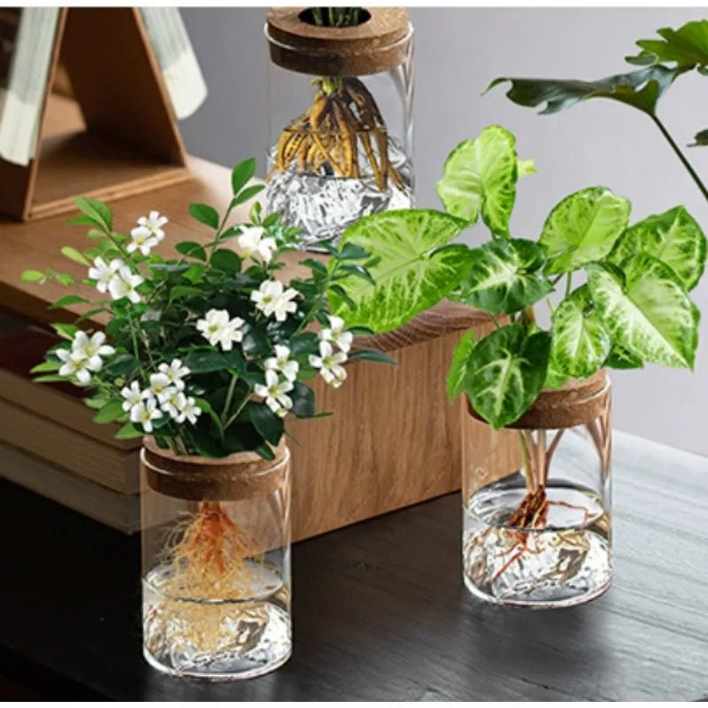 Plantes hydroponiques en petits pots, plantes de bureau en pot, bouteilles en verre, plantes vertes décoratives, petits vases - Maison & Déco